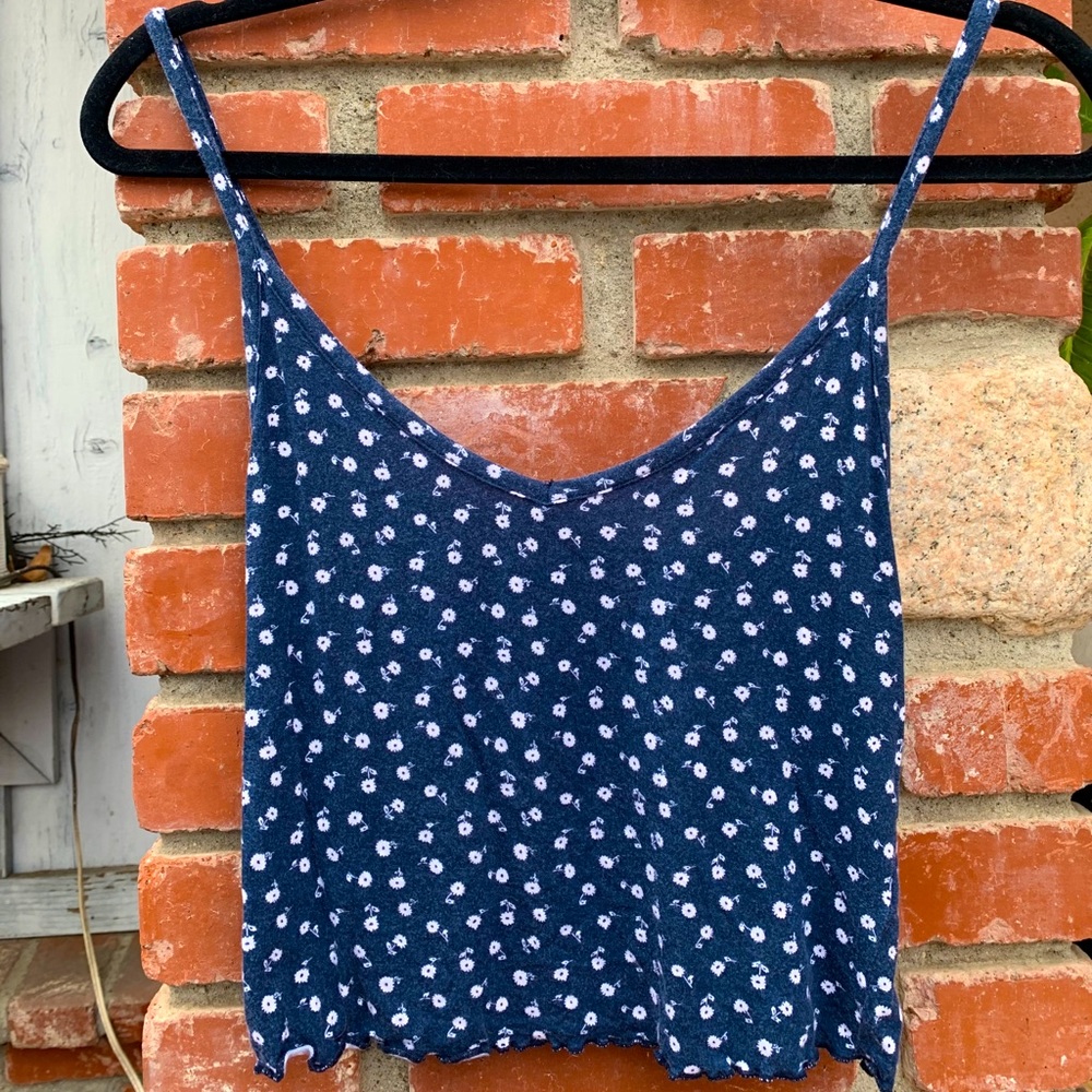 Brandy Melville Crop top
